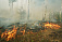 За входные в Удмуртии сгорело 0,085 га леса