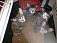 Пакет со склеенными котятами выбросили на дорогу в Ижевске