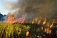 Два природных пожара произошло в Удмуртии за минувшие сутки