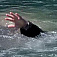 Спасатели назвали районы Удмуртии, где опасно купаться