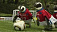 Пингвинов научили играть в футбол