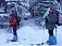 Лыжную трассу Воткинска завалило рухнувшими под тяжестью снега деревьями