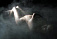 Эротический клип Джастина Тимберлейка запретили на «Ютубе»