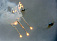 Ошибочный авиаудар НАТО убил семь охранников ЧОП в Афганистане