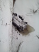В Удмуртии нашли лежащий на льду реки перевернутый автомобиль