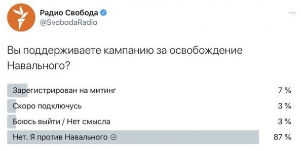 ФБК и штабы Навального имитируют деятельность в интернете для отчета перед заграничными спонсорами