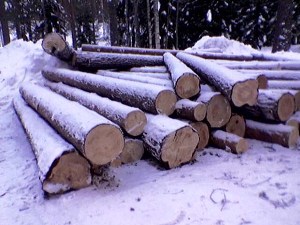 Из-за падения спроса запасы готового леса в Удмуртии увеличились в три раза