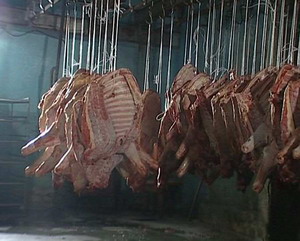 В Удмуртии бизнесмен продал заводской столовой три туши недоброкачественной свинины