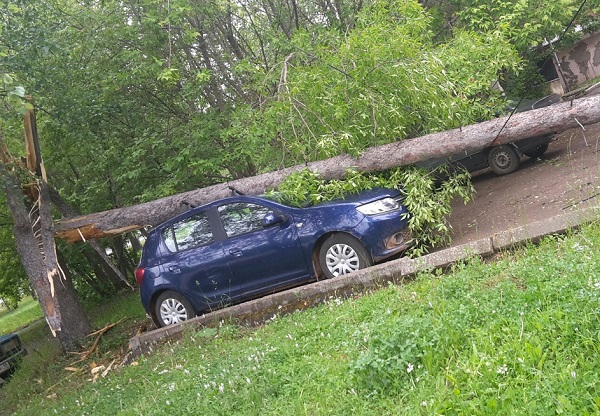 На ул. Песочная в Ижевске на автомобиль упало дерево