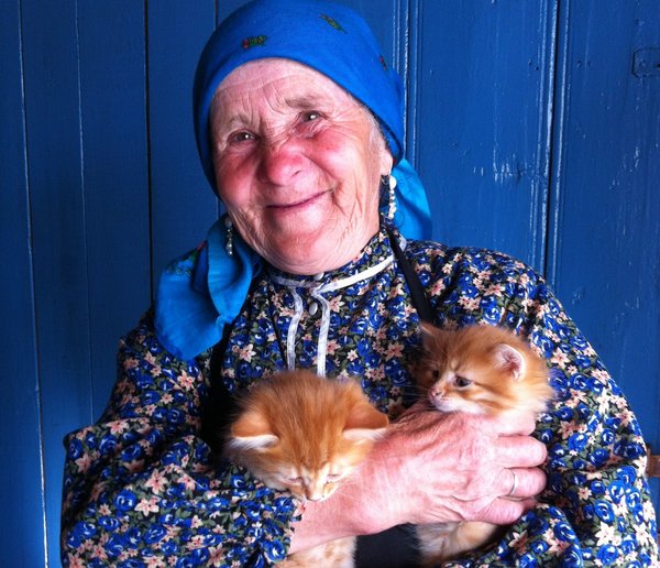 «Бурановская бабушка» ищет хозяев для рыженьких котят