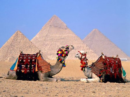 Беспорядки в Египте остановили поток туристов из Удмуртии в эту страну 