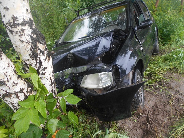 Дерево неожиданно возникло на пути пьяного водителя в Воткинске