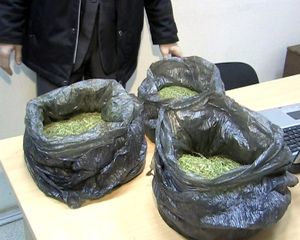 Видео ФСБ: у члена преступной группировки в Ижевске изъяли  более 2 кило марихуаны
