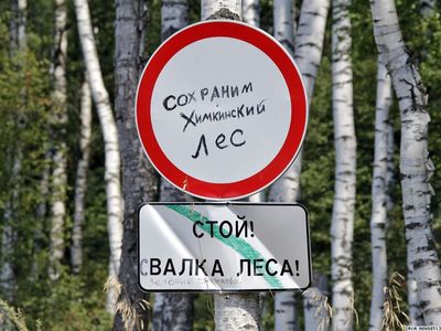 Химкинский лес все-таки вырубят для трассы в Петербург