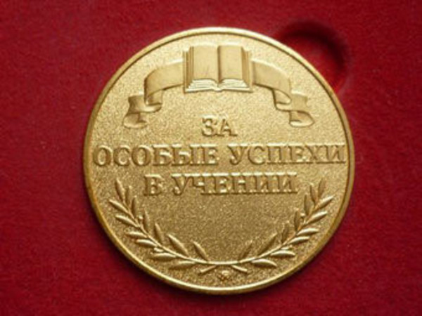 284 ижевских выпускника получат медали «За особые успехи в учении»