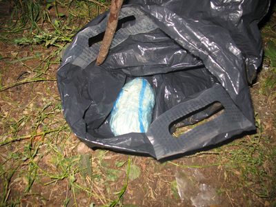 Лесной тайник наркотиков  обнаружен в пригороде Ижевска