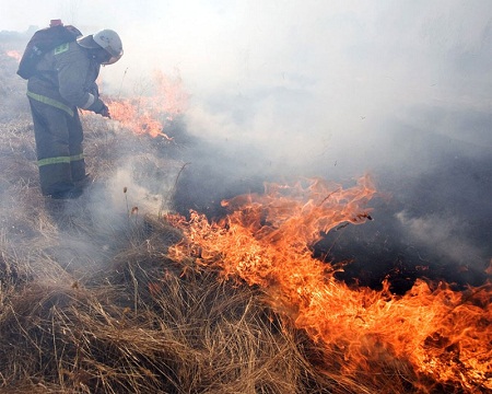 Пожароопасный сезон объявлен в Удмуртии