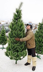 Юные ижевчане просят не рубить елки  к новому году