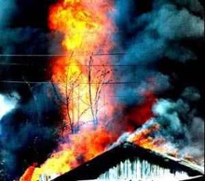 В Удмуртии на пожаре сгорела вся домашняя скотина – более 40 голов