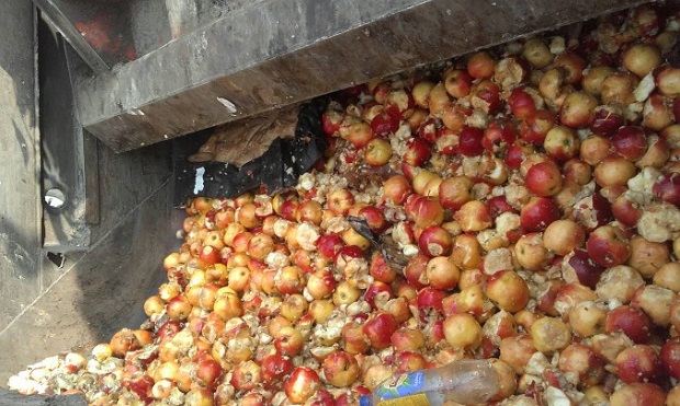 В Ижевске уничтожили 647 кг польских яблок