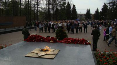 Бумажных журавликов запустят в память о погибших солдатах в Ижевске