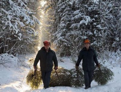 Лесники Завьяловского района начали «новогоднюю» охоту на черных лесорубов