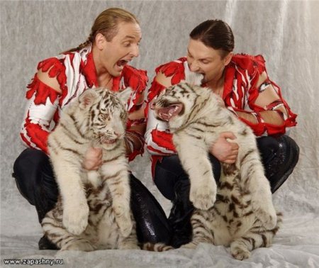 Запашные назвали белого тигренка из Ижевского зоопарка в честь Томаса Андерса