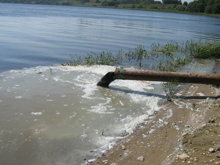 Предприятие в Можге сбрасывало сточные воды в пруд