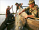 Ижевчане ловили рыбу сетью в реке Позимь