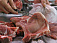 В Удмуртии изъяли 163 кг некачественного мяса