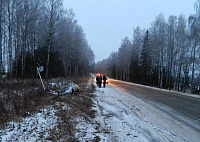 Две иномарки разбились из-за лося в Удмуртии: три человека погибли