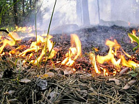 Пожарная обстановка в Ижевске остается напряженной