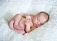 Гигантский младенец весом более 7 кило родился в Хабаровске