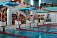 Команда воткинских пловцов завоевала сребряные медали открытого первенства