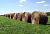 600 килограммов сена украли с колхозного поля в Удмуртии