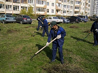 Глазовчане проводят массовый покос травы