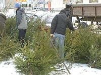 В Ижевске открывается «ленинская» елка