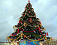Новогоднюю ёлку установят на стадионе в Воткинске