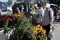 Садоводческие ярмарки пройдут в Ижевске