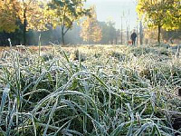 По ночам в Удмуртии ожидаются заморозки до -1°