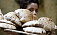 В Египте военные раздают хлеб беднякам