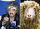 Киркоров сравнил себя с овцой 