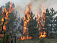 Пожары в России: чиновников пострадавших регионов отправят в отставку