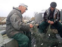 Забытые браконьерами сети  наносят непоправимый урон экологии Удмуртии