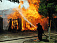 Конюшня сгорела в Удмуртии из-за электричества