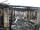 Из-за замыкания электропроводки 74 теленка сгорели заживо в Можгинском районе Удмуртии