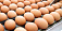 Цены на яйца и сахарный песок снизились в Удмуртии