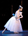 У балерины Большого театра в Нью-Йорке украли сумку с пуантами