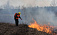 Лесных пожаров в Удмуртии удалось избежать в выходные дни