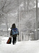 В Удмуртии мороз крепчает:  в среду занятия в школах отменяются